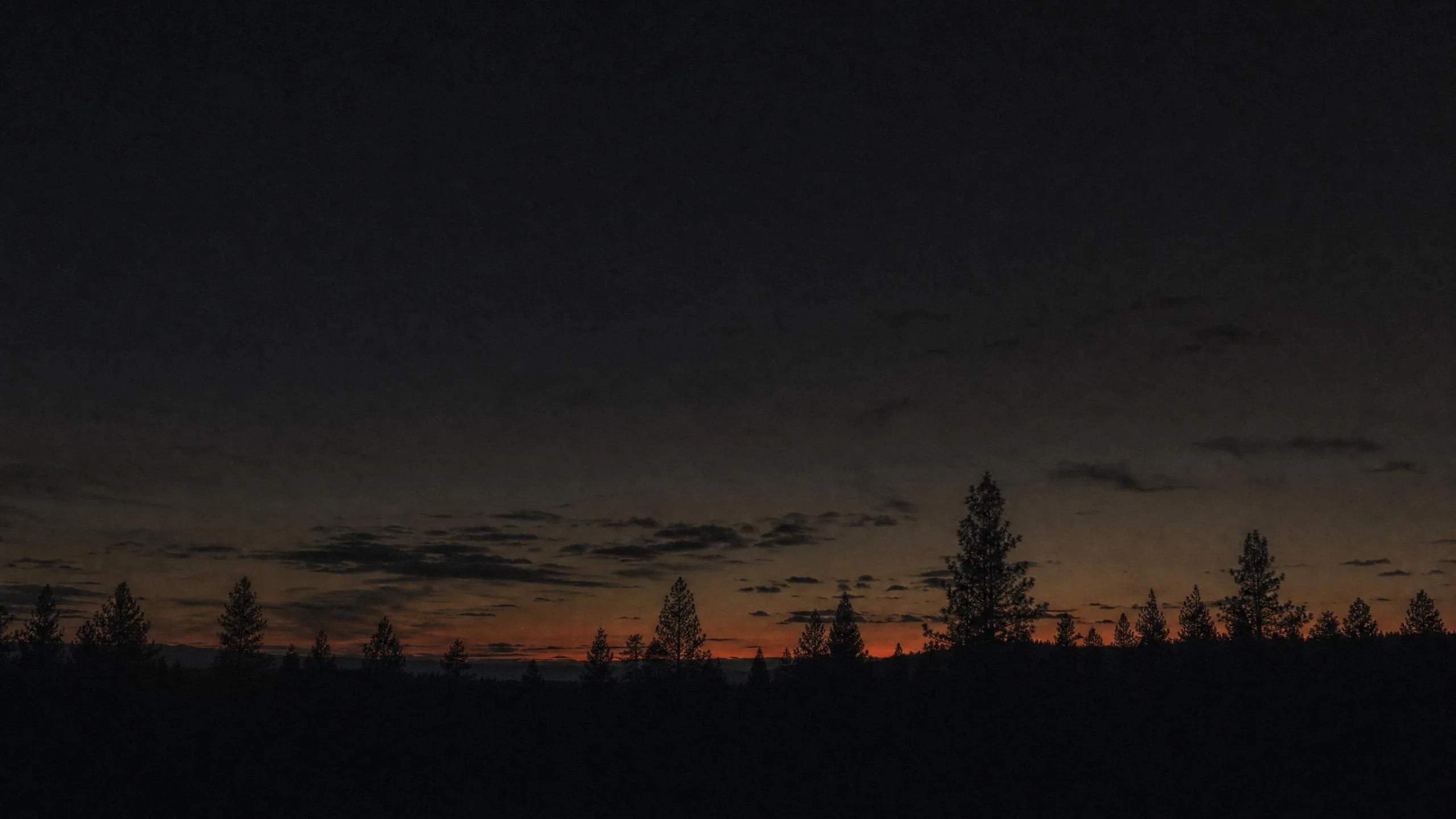 Silhouetted pine ridgeline at dusk under a deep, nearly dark sky with a thin band of warm afterglow.